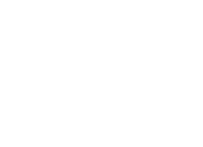 Ledger & Loom